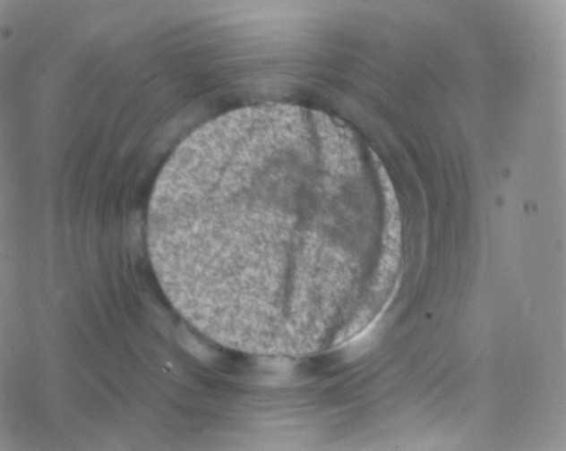 X0000076300144200610271923