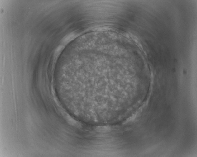 X0000076300145200610271923