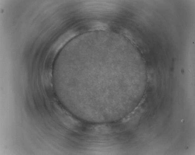 X0000076300146200610271923