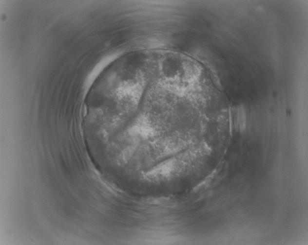 X0000076300147200610271923