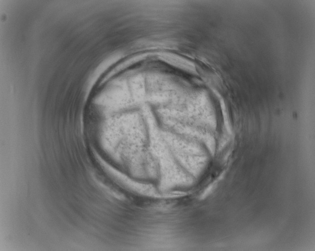 X0000076300148200610271923