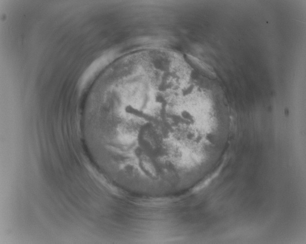 X0000076300149200610271923