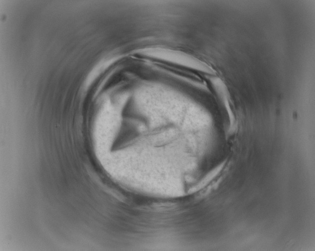 X0000076300150200610271923