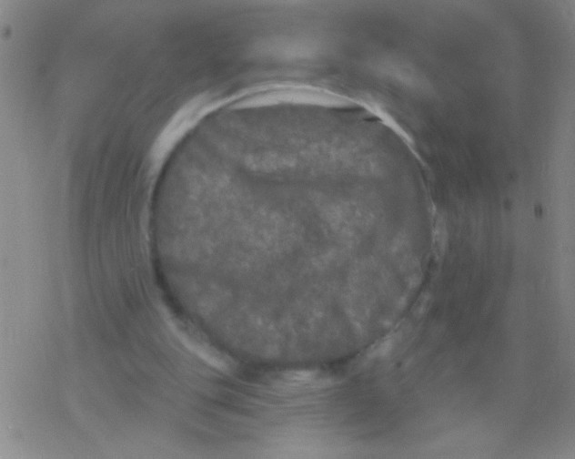 X0000076300151200610271923