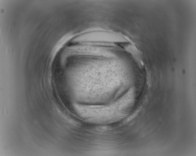 X0000076300152200610271923