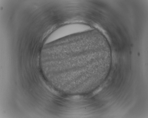 X0000076300153200610271923