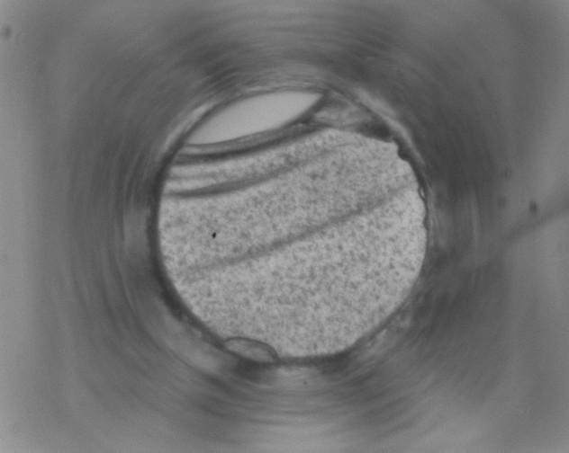 X0000076300154200610271923