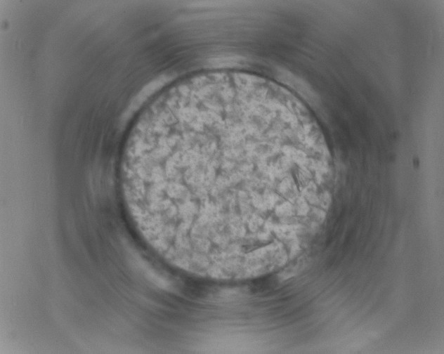 X0000076300155200610271923