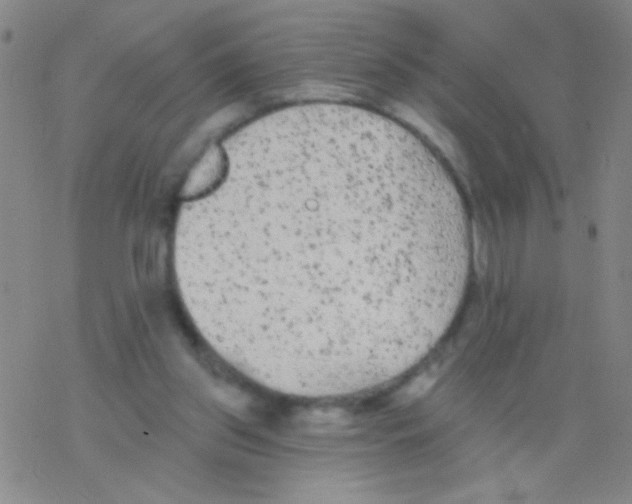 X0000076300157200610271923