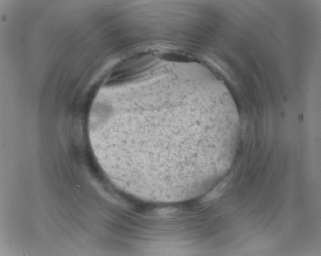 X0000076300158200610271923