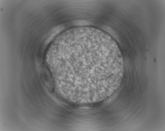 X0000076300159200610271923