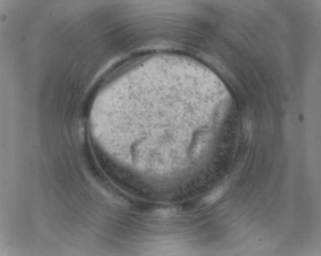 X0000076300160200610271923