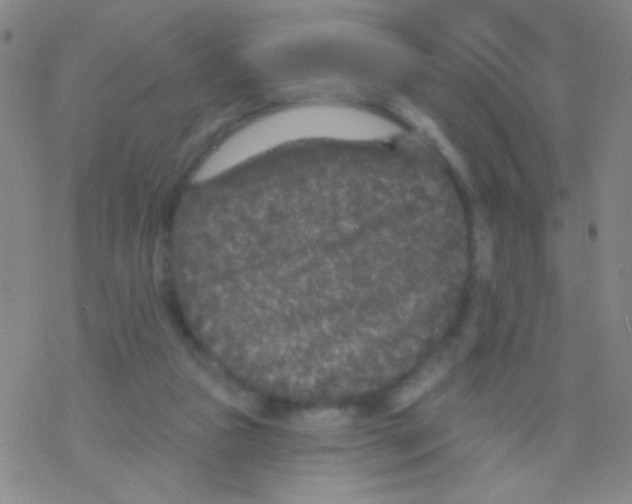 X0000076300161200610271923