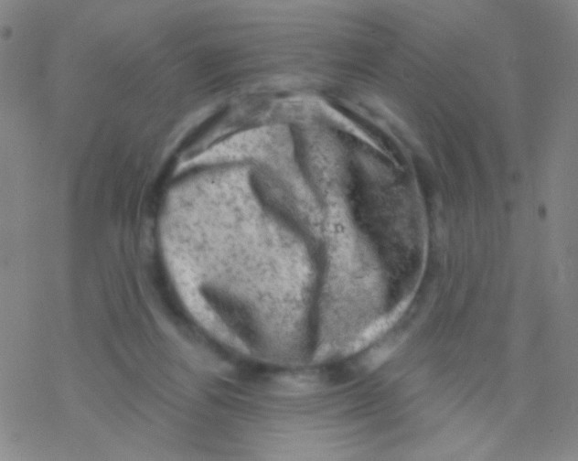 X0000076300164200610271923