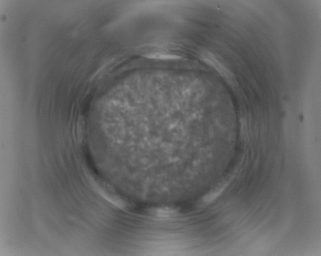 X0000076300165200610271923