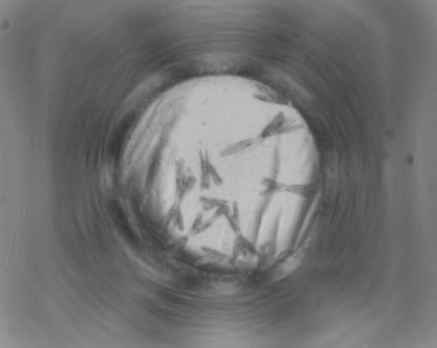 X0000076300166200610271923