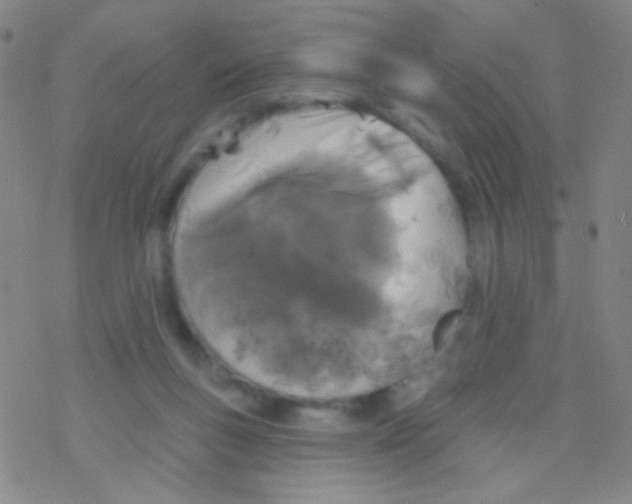 X0000076300167200610271923