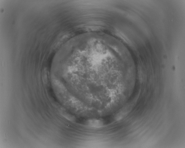 X0000076300169200610271923