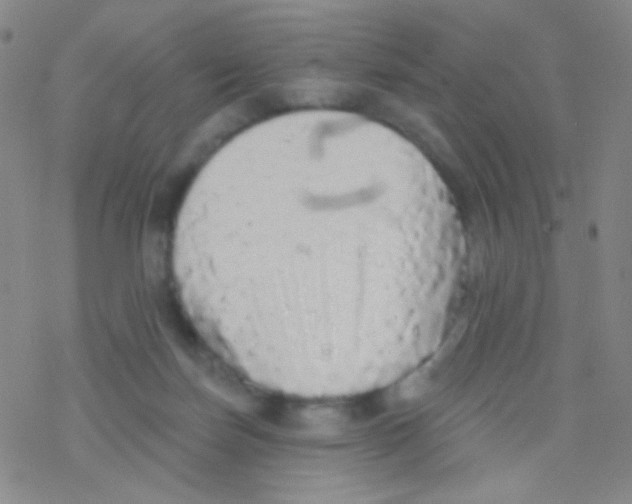 X0000076300171200610271923