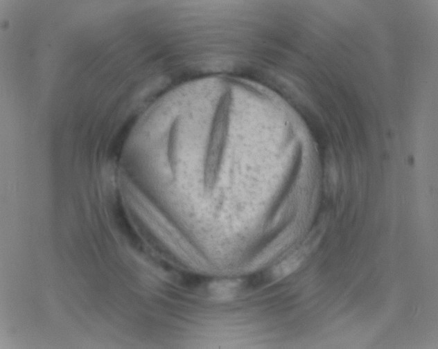 X0000076300172200610271923