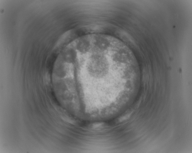 X0000076300173200610271923