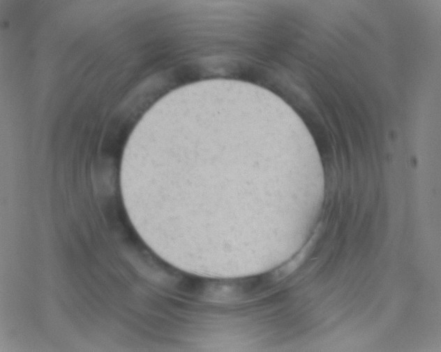 X0000076300174200610271923