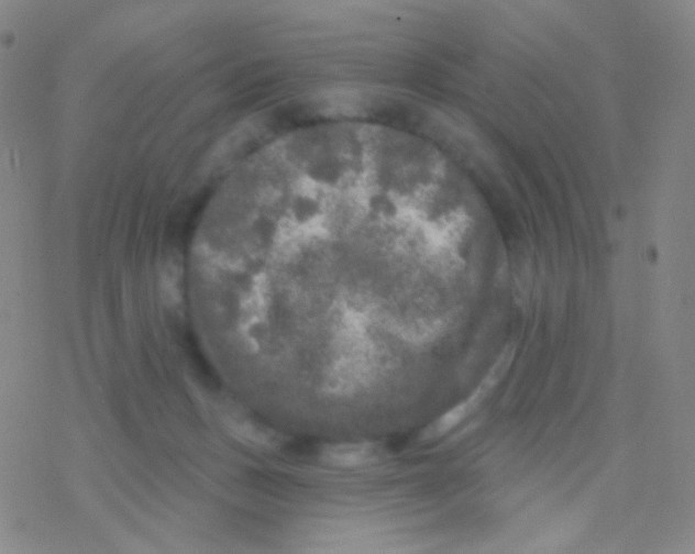 X0000076300175200610271923