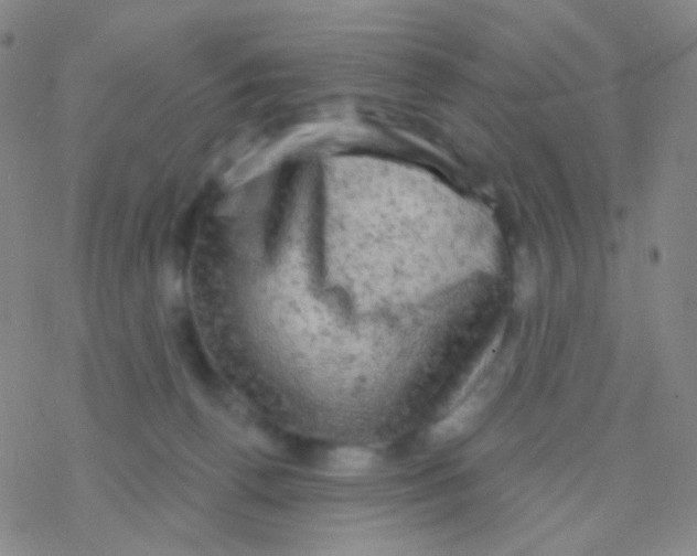 X0000076300176200610271923