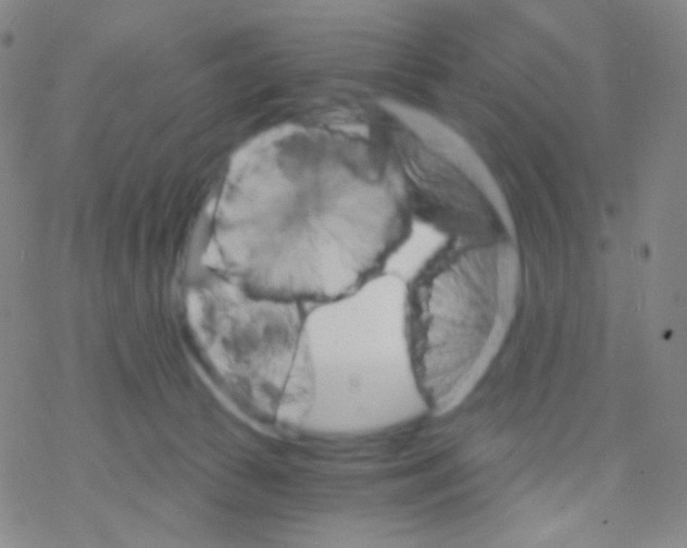 X0000076300177200610271923