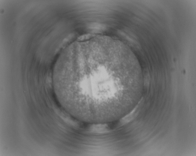 X0000076300179200610271923