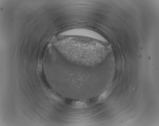 X0000076300180200610271923