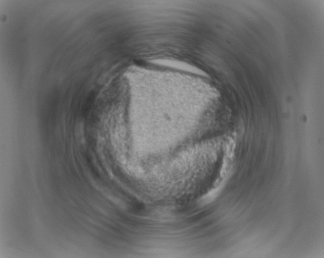 X0000076300182200610271923