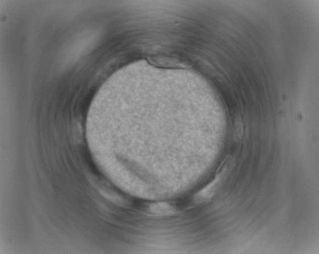 X0000076300183200610271923