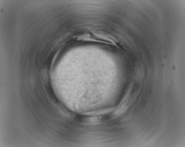 X0000076300184200610271923