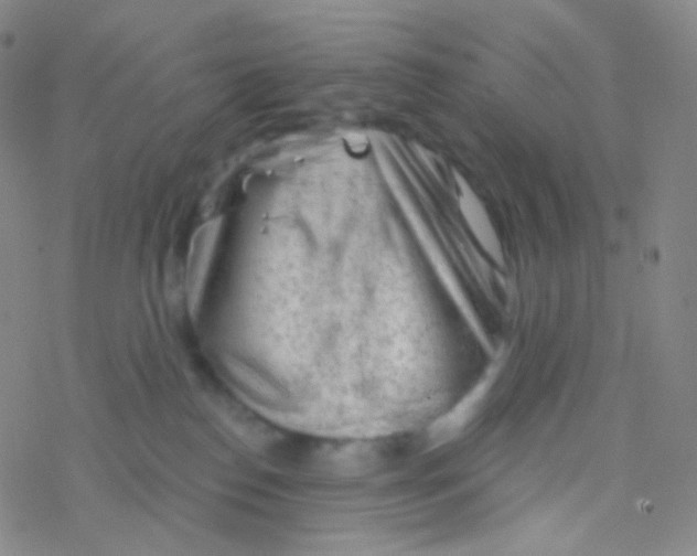 X0000076300186200610271923