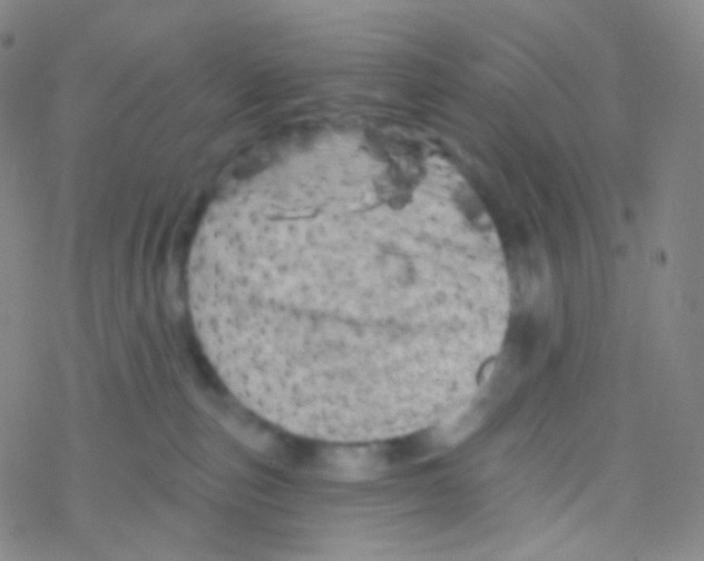 X0000076300187200610271923