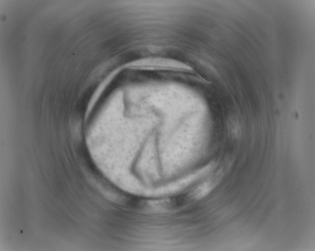 X0000076300188200610271923