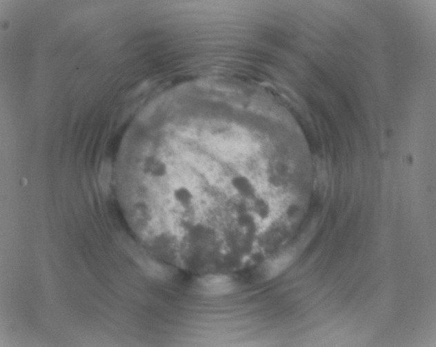 X0000076300189200610271923