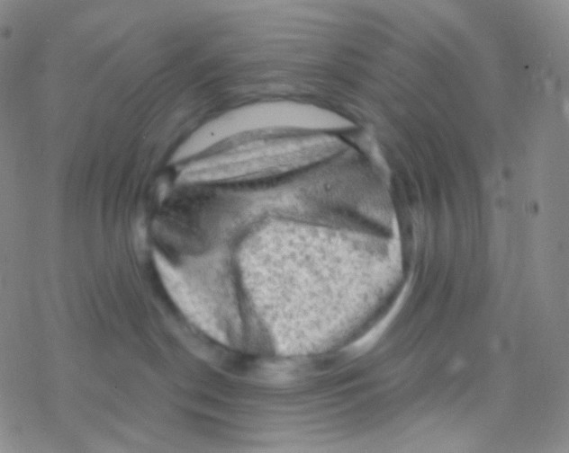 X0000076300190200610271923