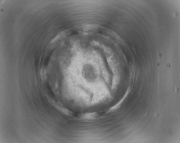 X0000076300191200610271923