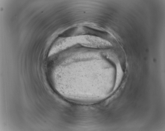 X0000076300193200610271923