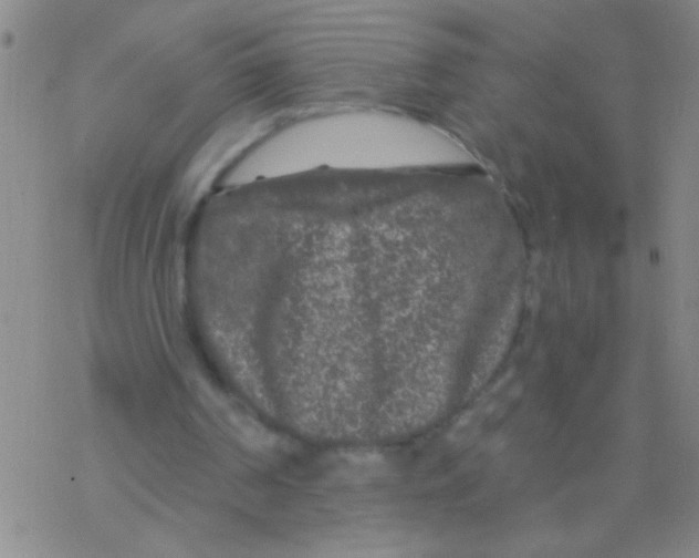 X0000076300194200610271923