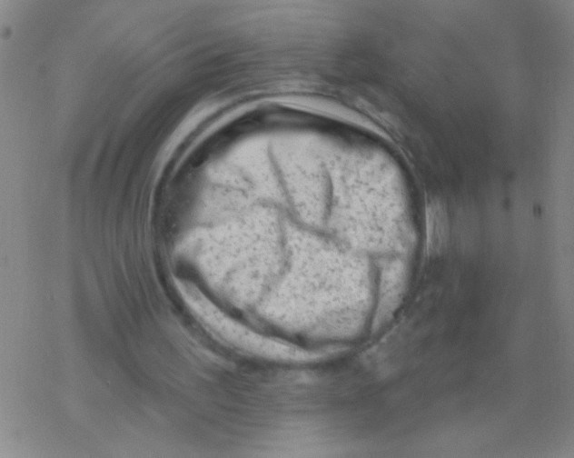 X0000076300195200610271923