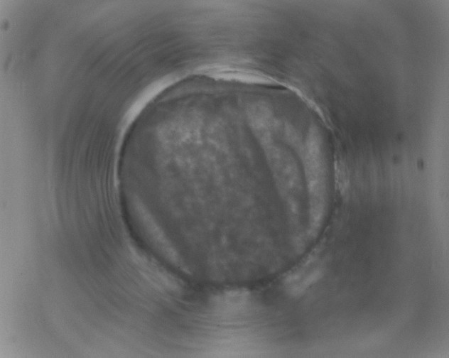 X0000076300196200610271923