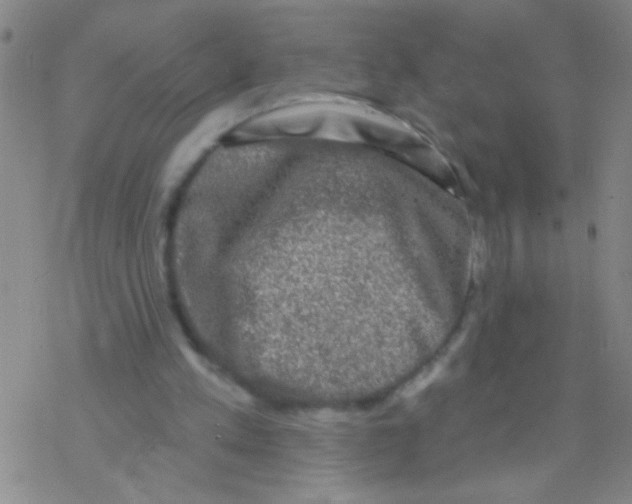 X0000076300197200610271923