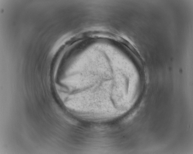 X0000076300199200610271923