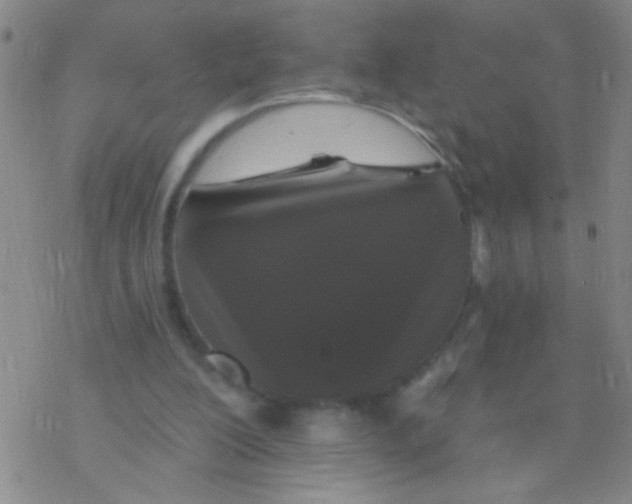 X0000076300200200610271923