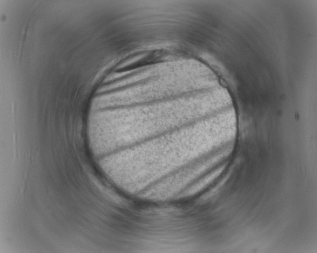 X0000076300201200610271922