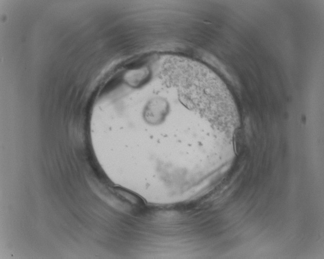 X0000076300203200610271922