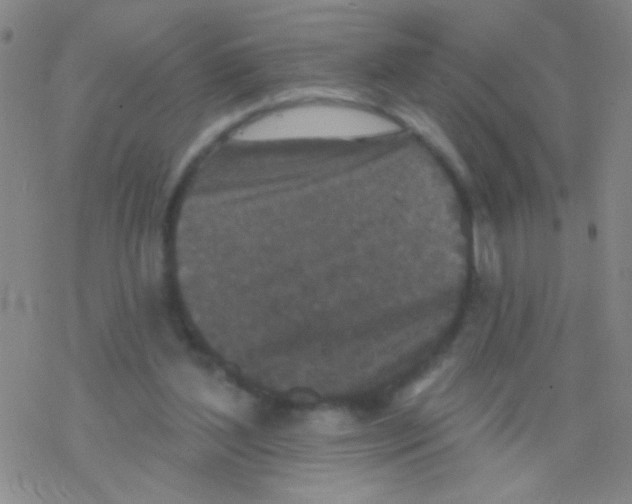 X0000076300204200610271922